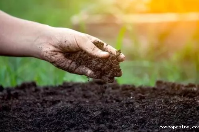 土壤养分速测仪为测土配肥实验室提供技术服务