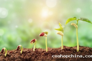 土壤墒情速测仪助力春耕春播