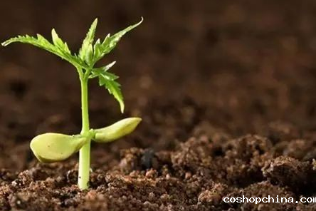 土壤水分测定仪用技术指导农业节水灌溉